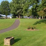 Beautiful green grass and trees