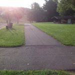 Beautiful green grass and pavement
